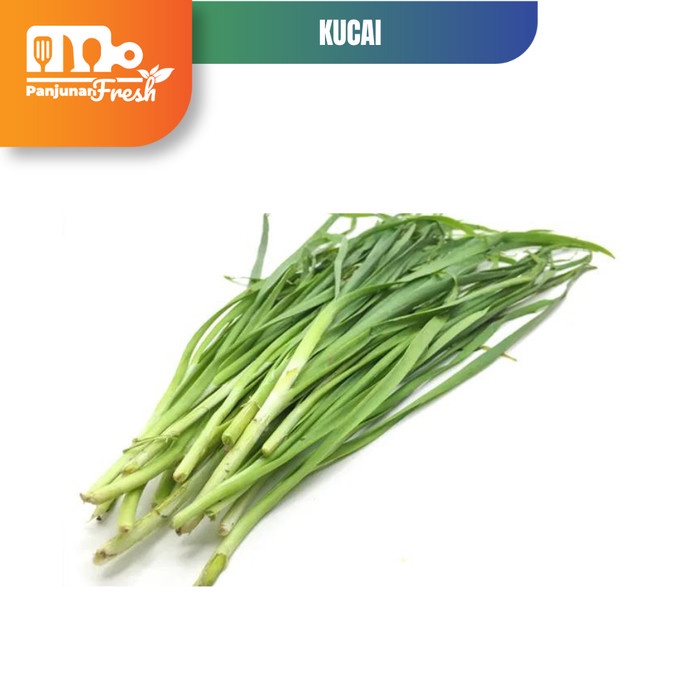 

DAUN BAWANG KUCAI 200 GR - SAYURAN SEGAR FRESH VEGETABLE