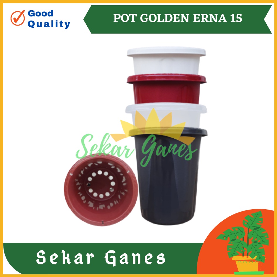 Pot GE15 Golden Erna 15 Putih Bening Transparan Hitam Merah Bata Coklat Terracota Terracotta Garden Of Love Mirip Pot Yogap Ypt 10 13 15 Putih Coklat Merah Bata Bening Transparan Pot Yogap 17 18 19 Pot Yogap Murah Pot Bunga Tinggi Pirus Tegak Bagus Tebal