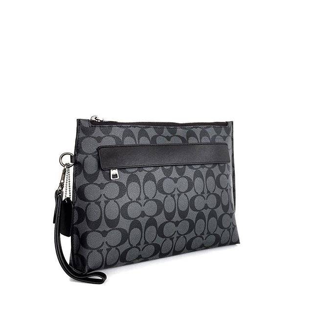 COACH Carryall Pouch in Signature