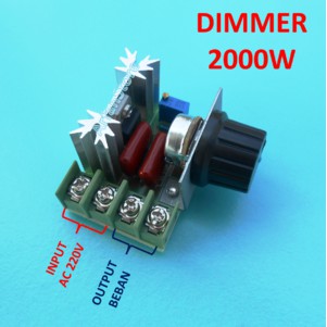 2000W Dimmer LED Lampu Heater Motor Speed Controller AC 220V 16A 2WK