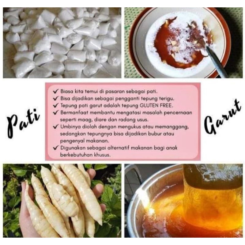 

Tepung Pati/Pati garut/obat magh