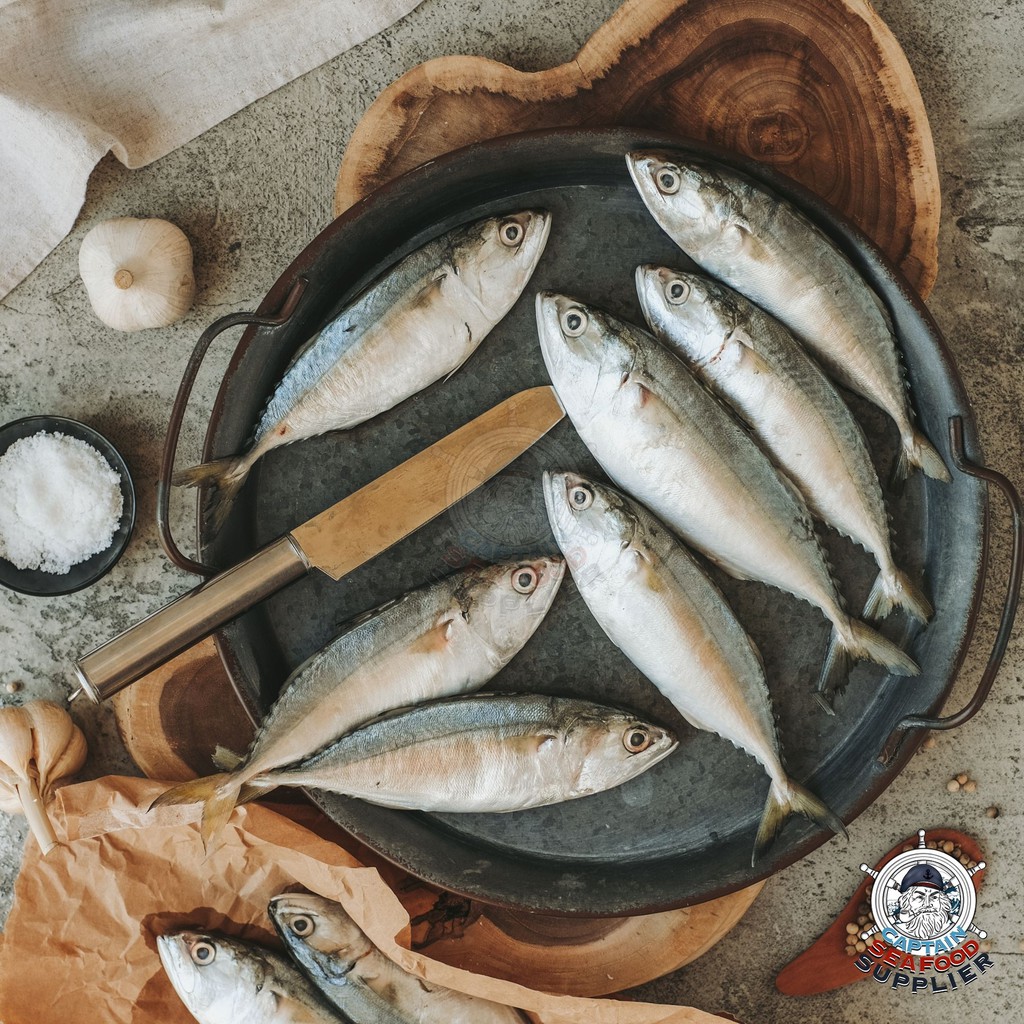 Ikan Kembung Banjar / Kembung Utuh Segar / Kembung Banjar Fresh Frozen