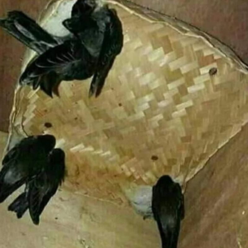 besek bakul walet 25x25x12cm