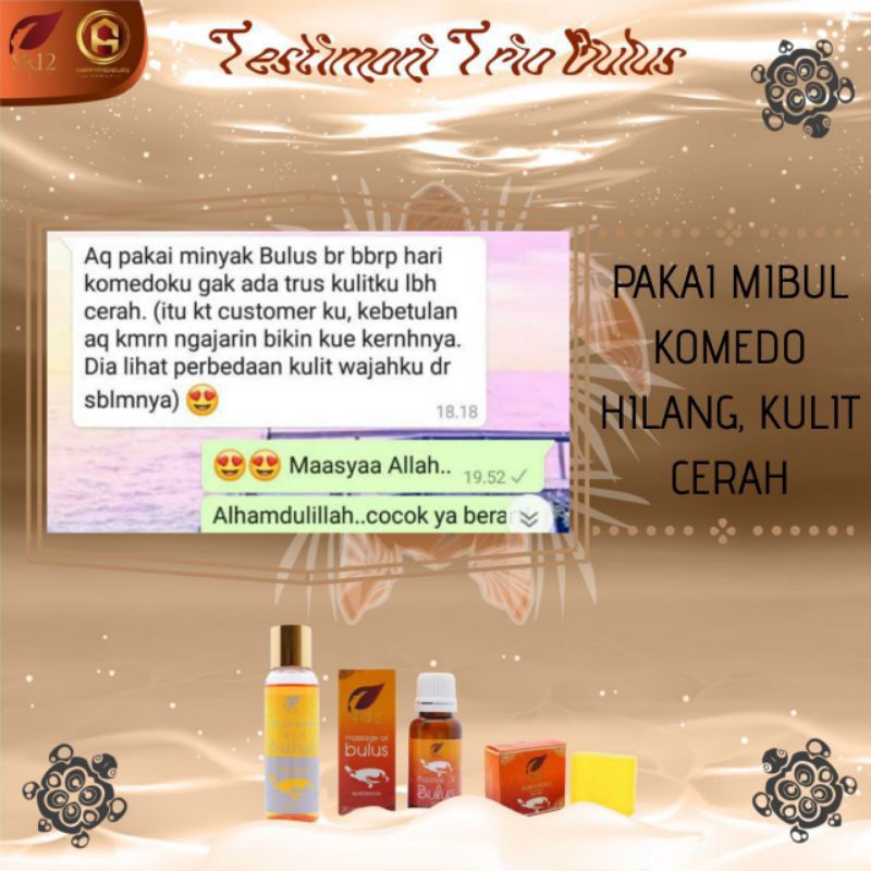 MINYAK BULUS SR12 / PAKET AMPUH / MASSAGE OIL BULUS BPOM / TREATMENT WAJAH DAN TUBUH