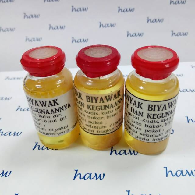 Minyak biawak biyawak obat kulit ampuh