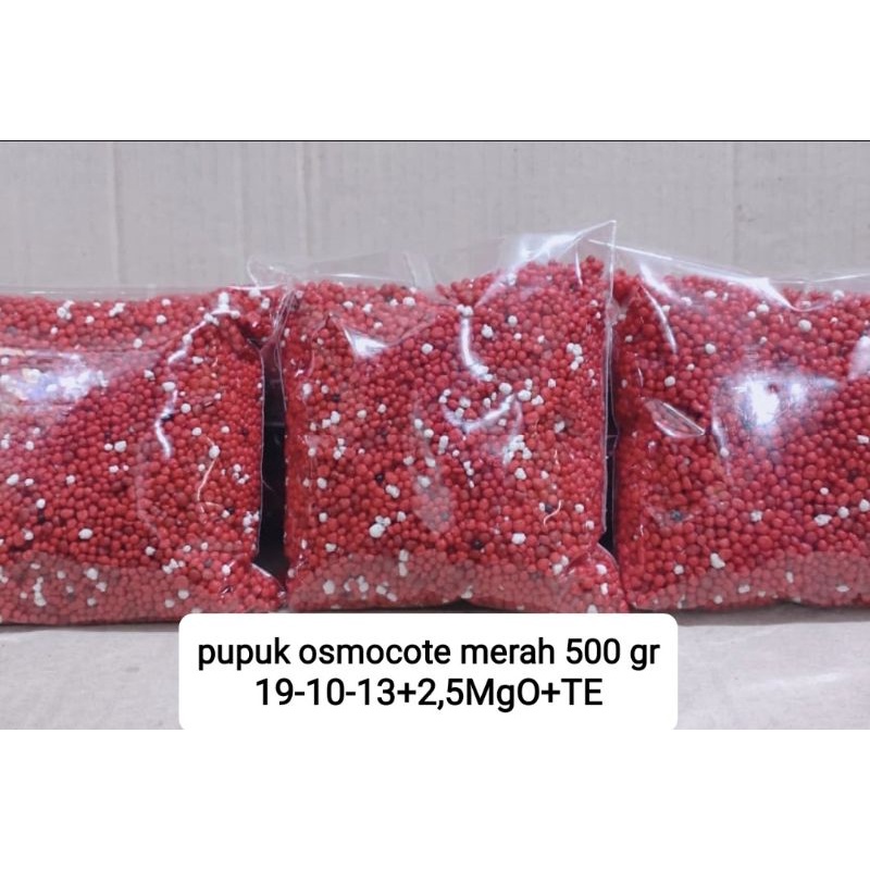 Pupuk Osmocote Merah slow release