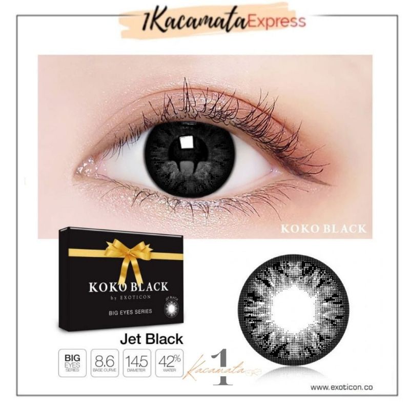 SOFTLENS WARNA EXOTICON X2 KOKO BLACK