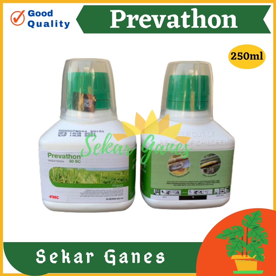 ORI INSEKTISIDA PREVATHON 50 SC 250 ML Obat Tanaman Pembasmi Hama Penggerek Batang Ulat Putih Obat Hama Tanaman Cabe Padi Tanaman Hias Buah Insektisida Sistemik Brofreya Ulat Grayak lalat Buah Ulat - Prevaton 50SC Termurah