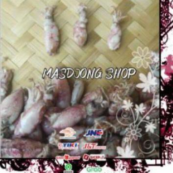 

GROSIR CUMI BABY TELUR REBUS ASIN SIZE (0.5-2cm)(250gram)