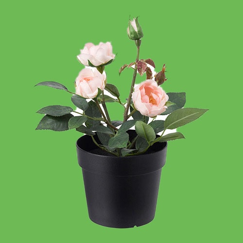 Tanaman tiruan dalam pot FEJKA , mawar merah muda, 9 cm