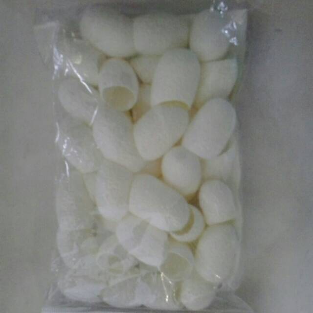 KOKON/COCON/KEPOMPONG ULAT SUTRA