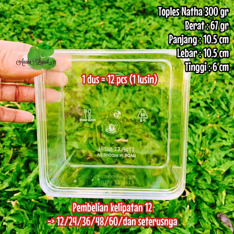 Toples Natha KUe Kering 300 grm Salad Dessert Box