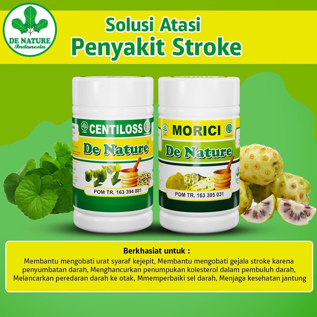 

Obat Stroke Ringan Anti Lepra Anti Pikun Melancarkan Peredaran Darah De Nature