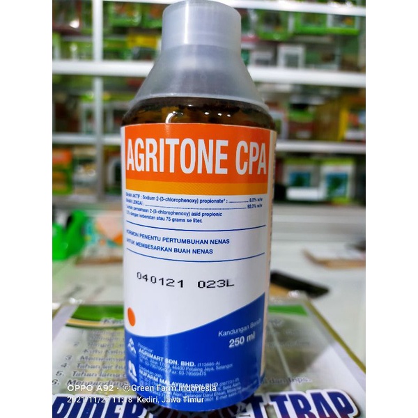 Agritone CPA 250ml Hormon Pembesar Nanas Original Malaysia Agriton Dopping Buah Nanas ZPT Super Untuk Nanas