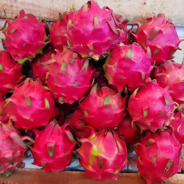  Buah Naga Merah  Segar 1 Kg Buah  Naga  Fresh Shopee Indonesia