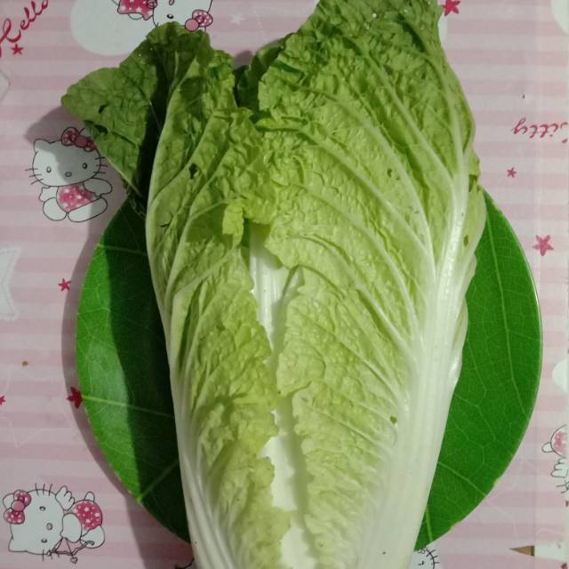 

Sawi putih sayur bandung.