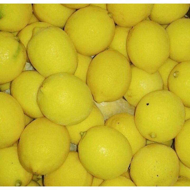 

jeruk lemon import turkey 1kg