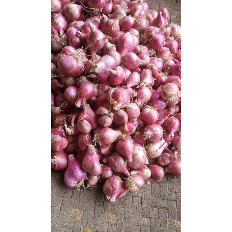 

Bawang merah