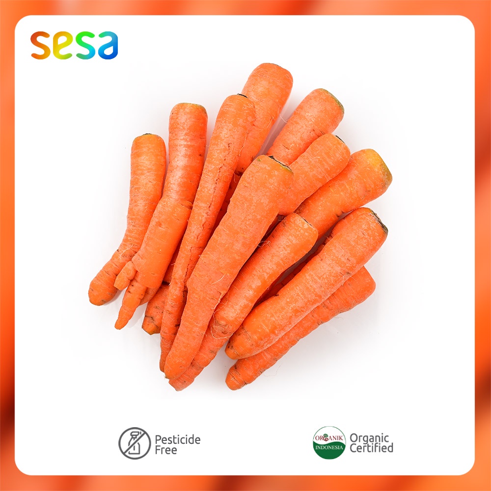 

Wortel Organik Best Value 500 g
