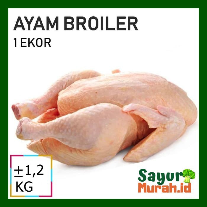 

AYAM BROILER [1 Ekor ]