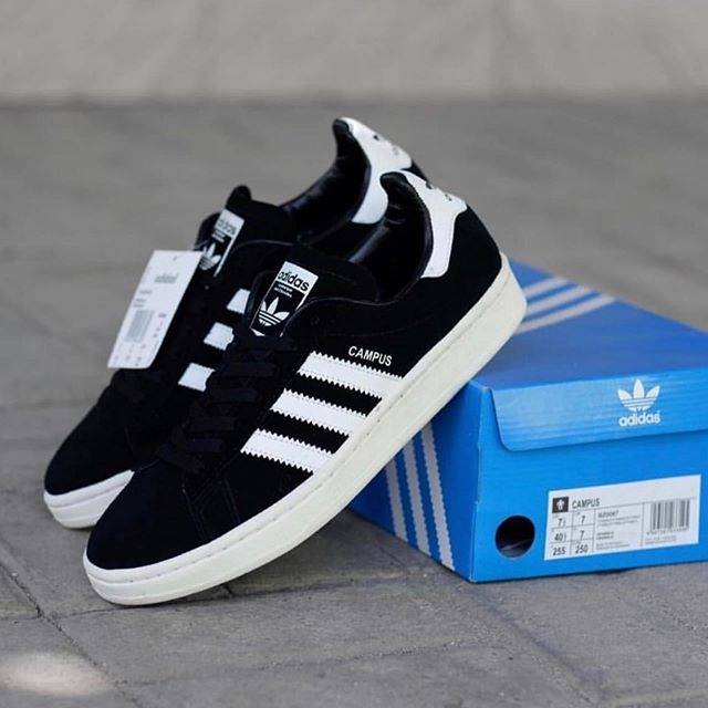 adidas campus 6