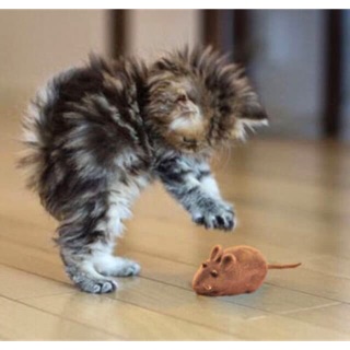 Mainan Kucing Hewan Peliharaan Tikus Lucu Bisa Bunyi Warna Mainan Kucing Hewan Peliharaan Tikus Lucu Bisa Bunyi Warna