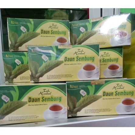 

Teh herbal daun sembung asli tazakka isi 20 kaya manfaatnya