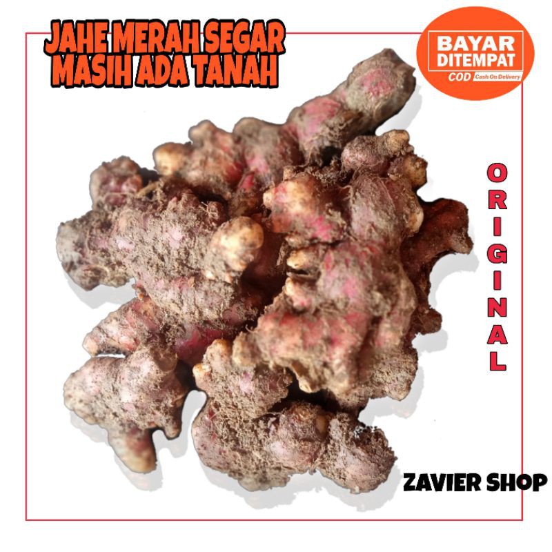 

jahe merah medan 1kg / jahe merah segar / jahe merah asli masih ada tanah