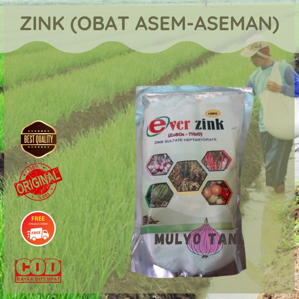 EVER ZINK l ZINK SULFATE + HEPTAHYDRATE 800gr
