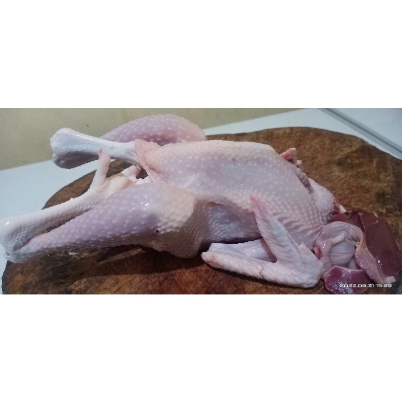 

ayam kampung utuh big 600-700gr up."PROMO