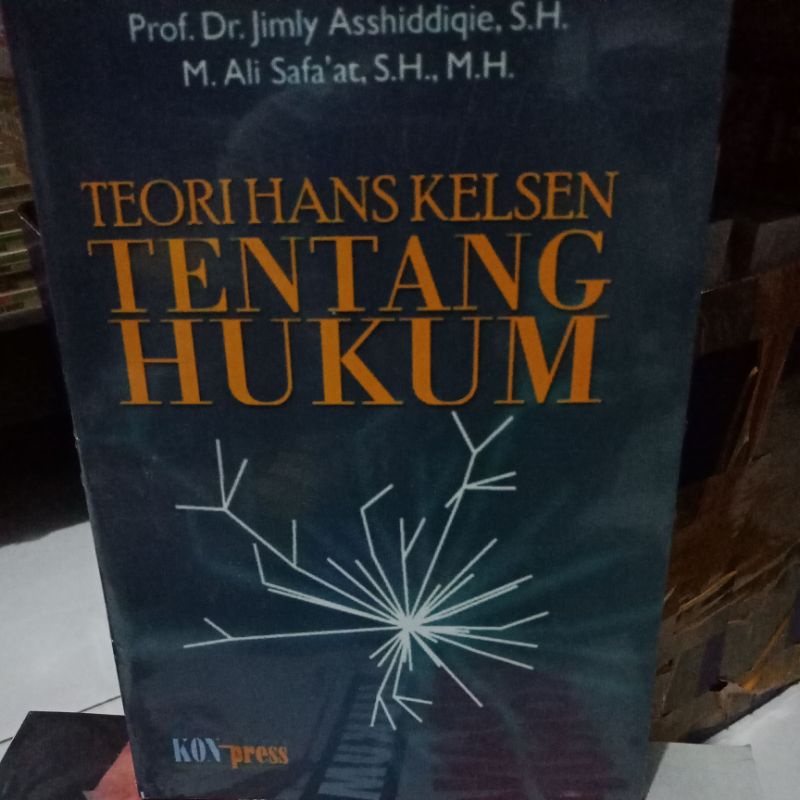 TEORI HANS KELSEN TENTANG HUKUM
