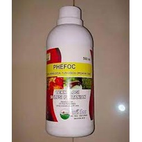 obat hama kutu putih alami-obat pembasmi kutu putih pada tanaman-PHEFOC HCS ASLI