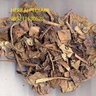 Yu Xing Cao (Heartleaf Houttuynia Herb) Herba Houttuyniae 600 gram