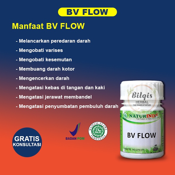 BV FLOW Obat Herbal Melancarkan Peredaran Darah gejala kesemutan kebas darah kental serta varises-1