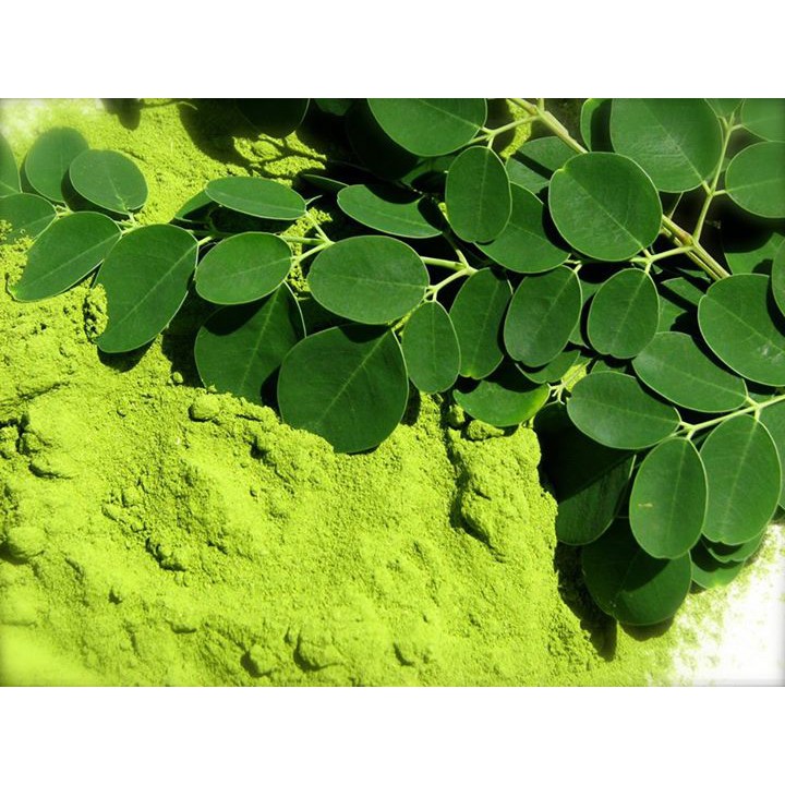 Bubuk Daun Kelor 250 g Moringa Oleifera Powder Simplisia Serbuk Murni Limaran