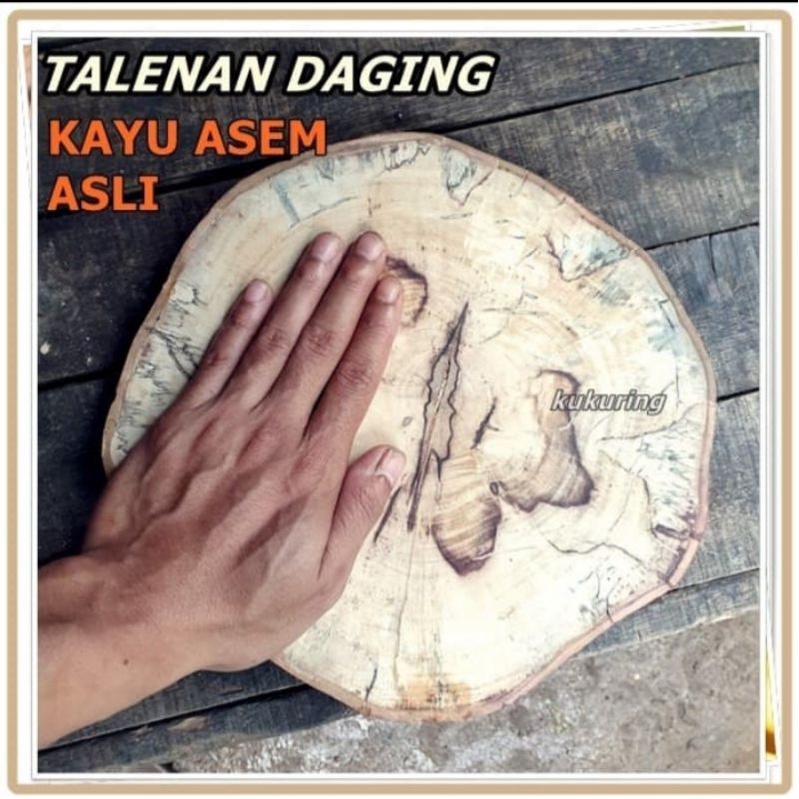 talenan kayu asem