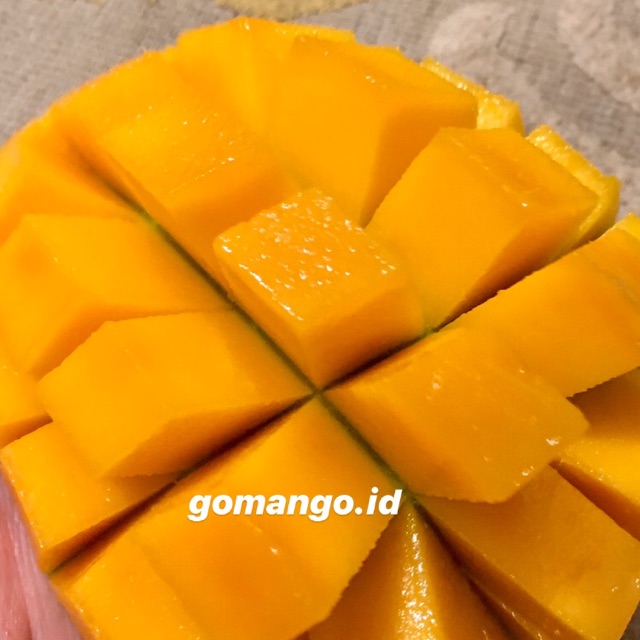 

Mangga Masak Pohon 3kg