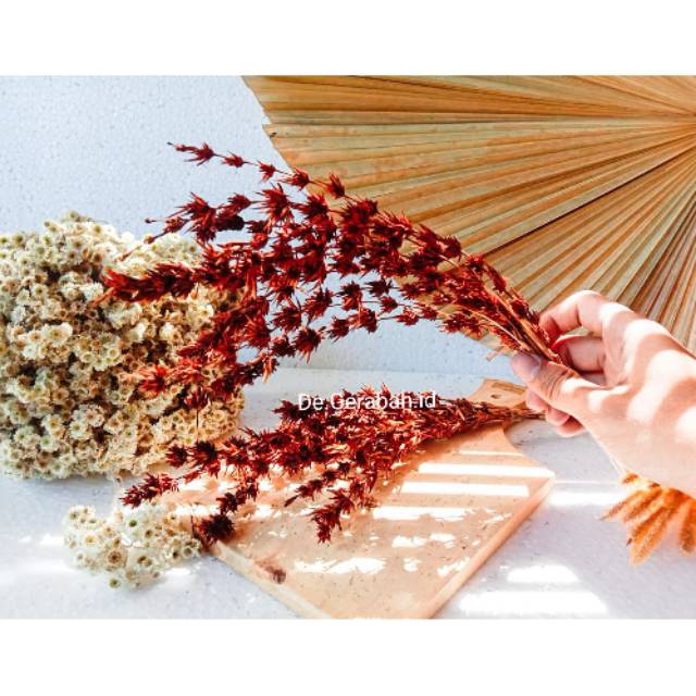 Bunga kering bunga kering bambu Shopee Indonesia Bunga kering bunga kering bambu Shopee Indonesia