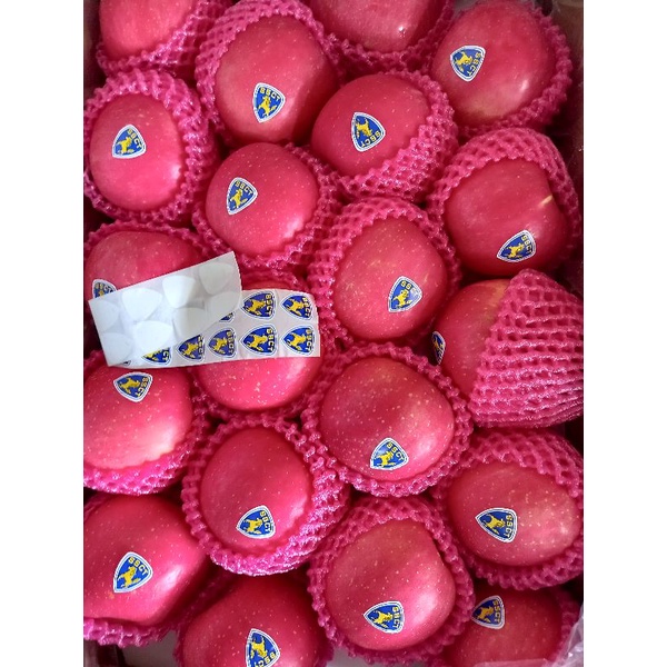

Apel super premium (shandong china)