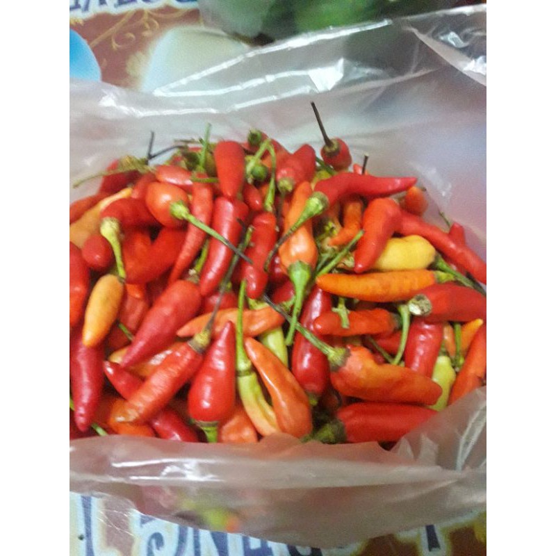 

Rawit Setan Pedas 7500