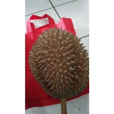 

Duren Montong