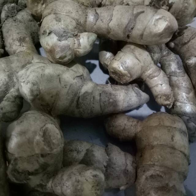 

Kunyit putih (isi 500gr)