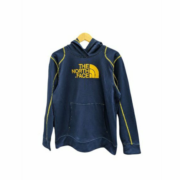 hoodie the North face second