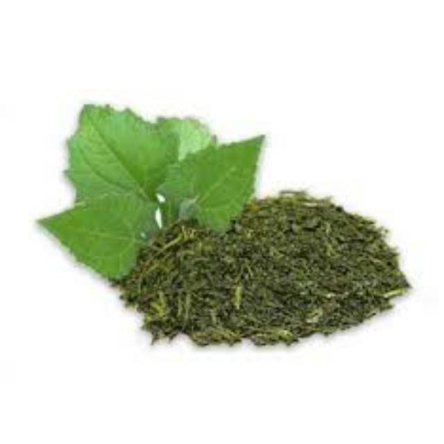 

Daun Insulin Kering 100gr