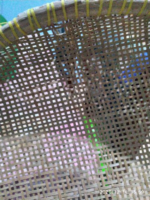 Tanggkok Bambu Besar Tanggok Buah Sayuran / Gorengan