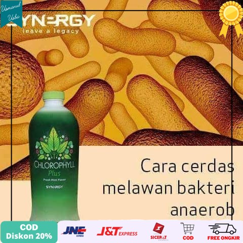 

❤COD❤ OBAT GANGGUAN SALURAN KEMIH Aman dan HALAL