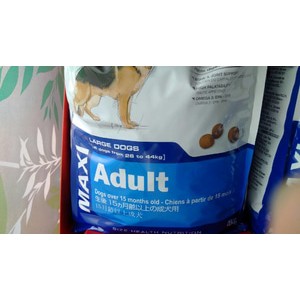 Royal canin maxi adult 15kg