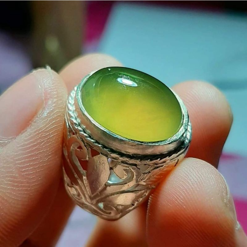 Bio Solar Original Aceh