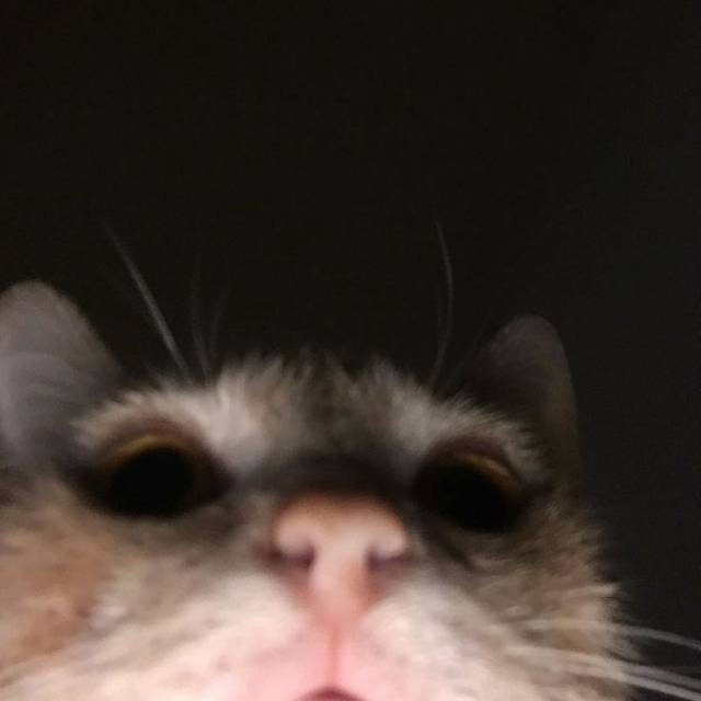 z*****e