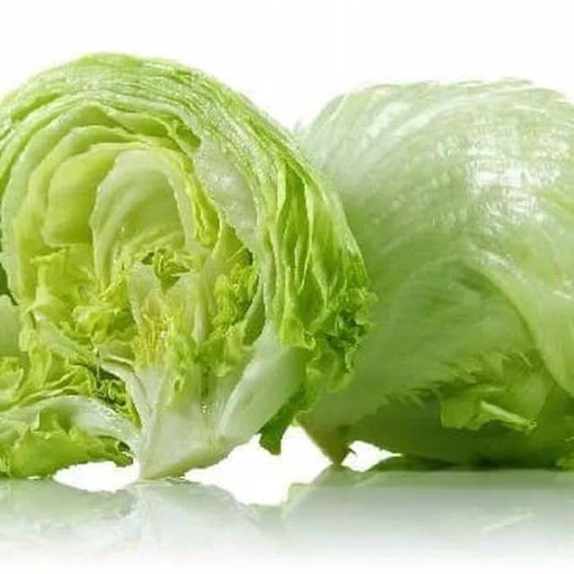 Head Lettuce Lotus Iceberg Lettuce Selada Bokor Fresh 500 Gram Shopee Indonesia